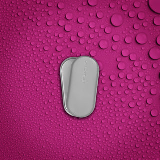 Staleks Tray with lid EXPERT 20 TYPE 1 Tool Tray Staleks 