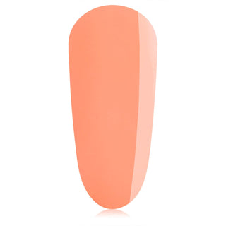 TGB Lollipop All-In-One BIAB™ TPO-Free THE GELBOTTLE 