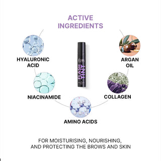 ELAN «FLASH TINT» Brow & Lash Tint 12 Black Truffle, 10 ml Brow&Lash Tints ELAN 