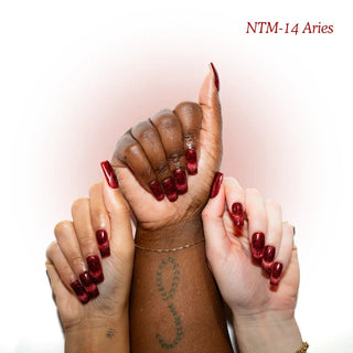 NTM-14 ARIES NT Magnet Bottle Nail Thoughts 