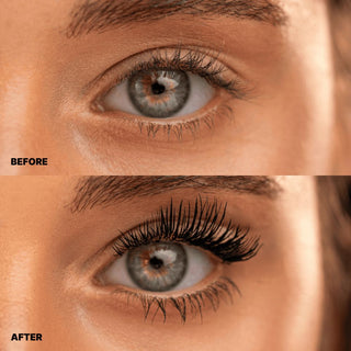 ZOLA Black Mystique Eyelash Mascara Eyelash Mascara ZOLA 