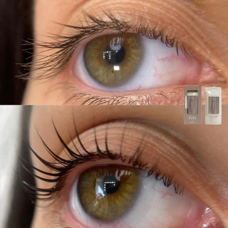 ELAN «FixPowder» Lash Lift Fixing Powder, 9 g Lash Lift ELAN 