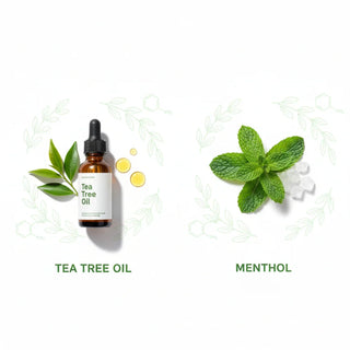 Footlogix Fresh Steps Essentials Footlogix 