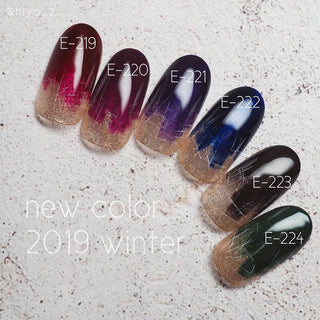 Kokoist E-224 Midnight Forest Color Gel KOKOIST 