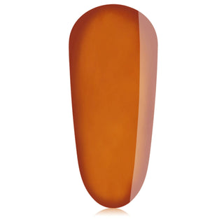 TGB Tortuga, 20 ml THE GELBOTTLE 