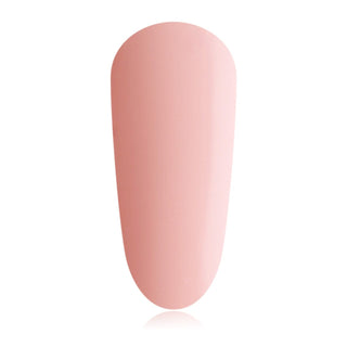 TGB Teddy Original BIAB™ THE GELBOTTLE 