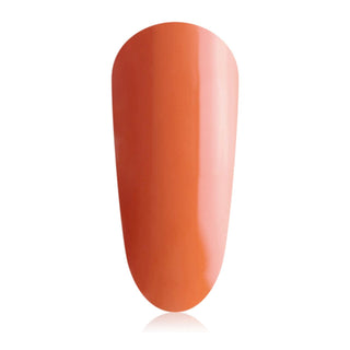 TGB Pumpkin Mini THE GELBOTTLE 