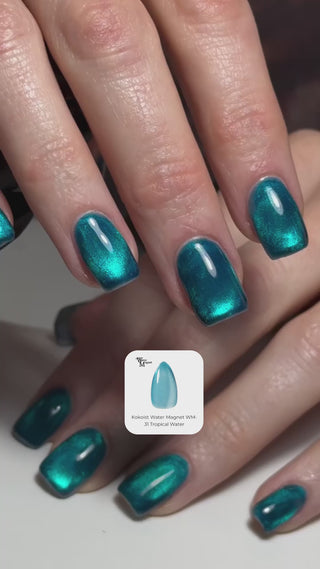 Kokoist Water Magnet WM-31 Tropical Water Magnet Gel KOKOIST