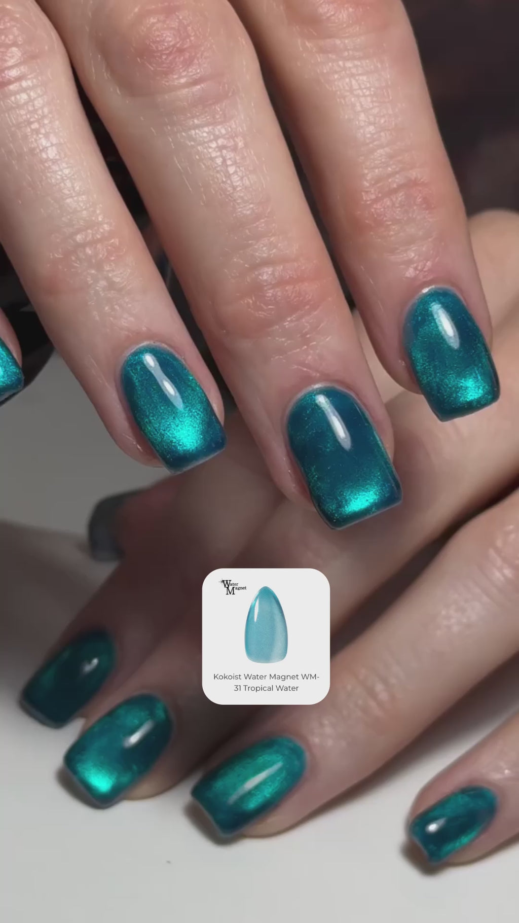 Kokoist Water Magnet WM-31 Tropical Water Magnet Gel KOKOIST