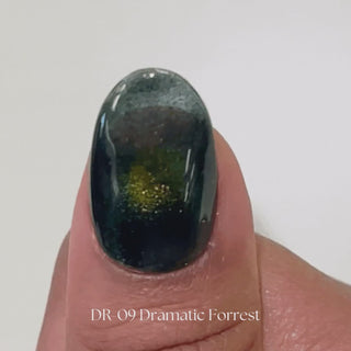 Kokoist Dramatic Magnet DR-09 Dramatic Forest Magnet Gel KOKOIST