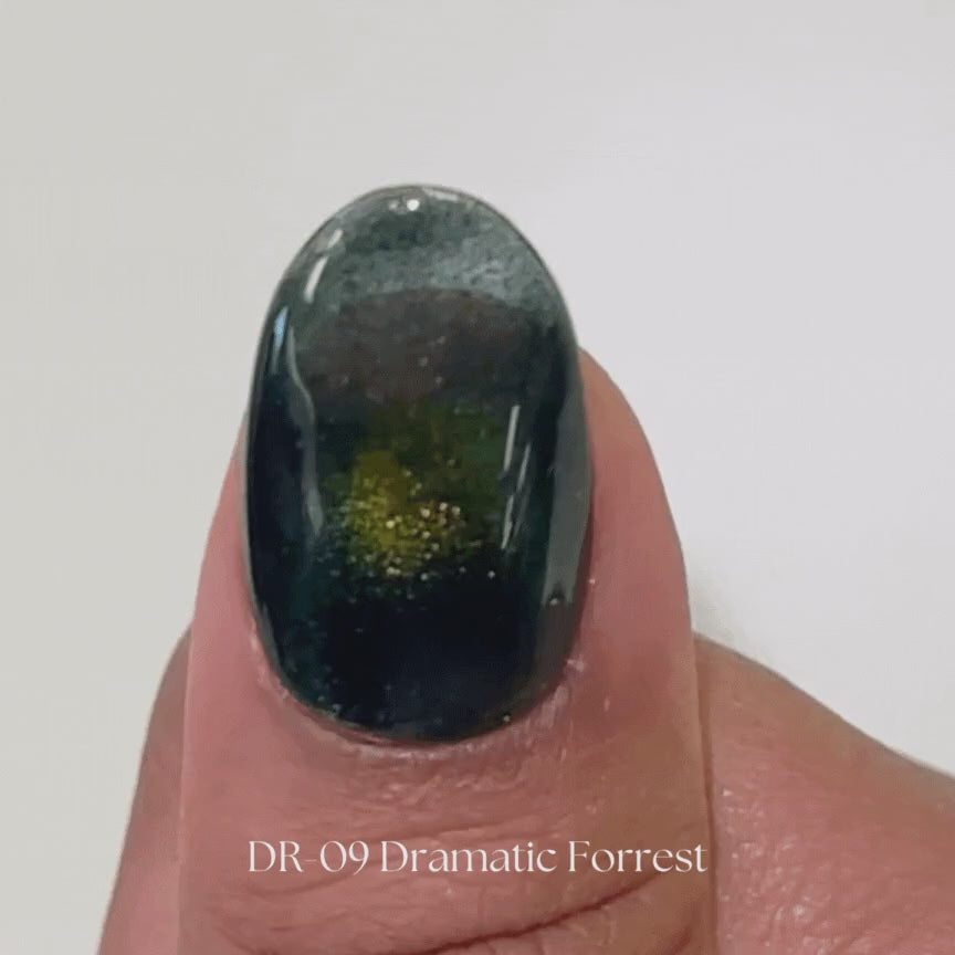 Kokoist Dramatic Magnet DR-09 Dramatic Forest Magnet Gel KOKOIST