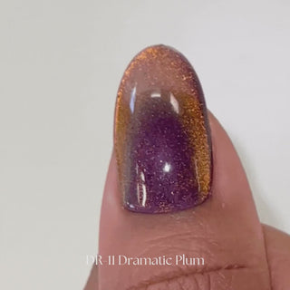 Kokoist Dramatic Magnet DR-11 Dramatic Plum Magnet Gel KOKOIST
