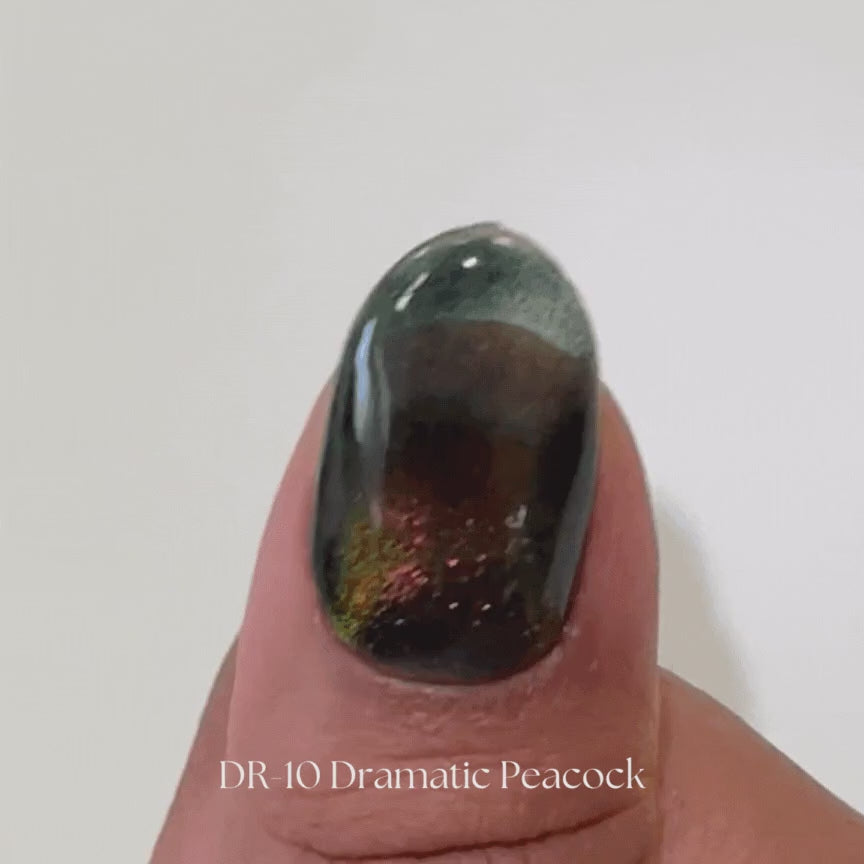 Kokoist Dramatic Magnet DR-10 Dramatic Peacock Magnet Gel KOKOIST