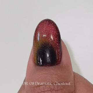 Kokoist Dramatic Magnet DR-08 Dramatic Chestnut Magnet Gel KOKOIST