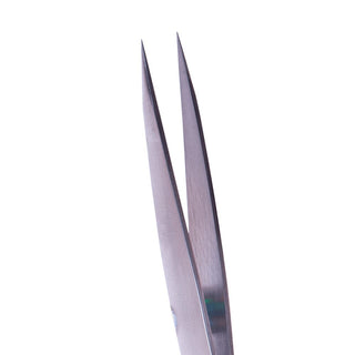 ZOLA Pointed Eyebrow Tweezers Silver Eyebrow tweezers ZOLA 
